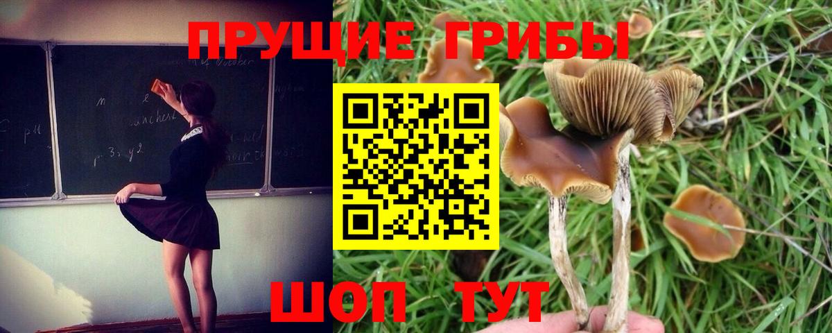 Галлюциногенные грибы прущие грибы Полевской