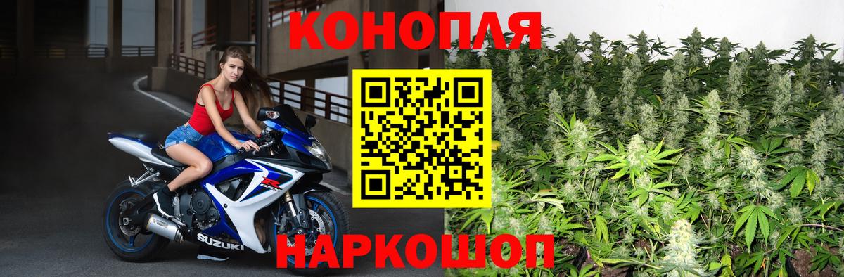 Конопля индика Полевской